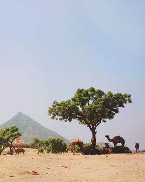 Image post by @lauraroze on Instagram