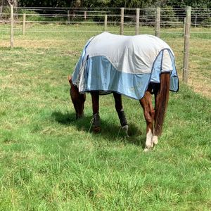 Image post by @snaffle_it on Instagram