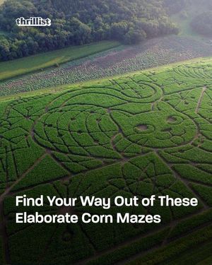 Image post by @thrillist on Instagram