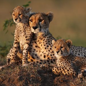 Image post by @discovery on Instagram