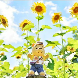 Image post by @winniethepoohshow on Instagram
