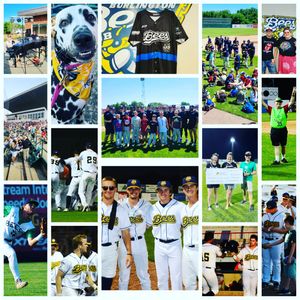 Image post by @burlington_bees on Instagram