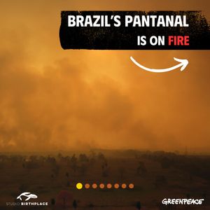 Image post by @greenpeace on Instagram