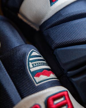 Image post by @purehockey on Instagram