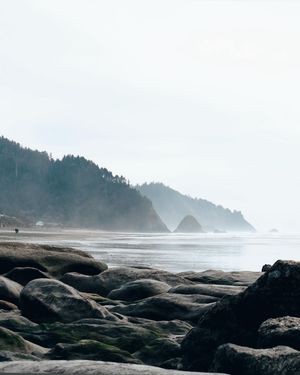 Image post by @laur.henwood on Instagram
