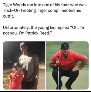 Image post by @savepargolf on Instagram
