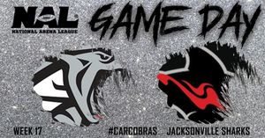 Image post by @carcobras on Instagram