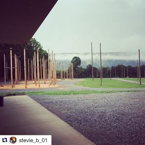 Image post by @sltc99 on Instagram
