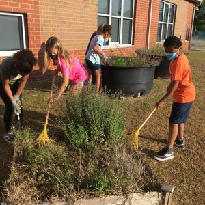 Image post by @kidsgardening on Instagram