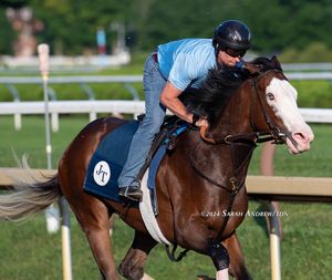 Image post by @thoroughbred_daily_news on Instagram