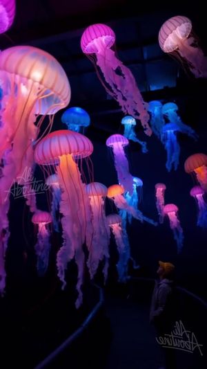 Video post by @ali.aboutine on TikTok