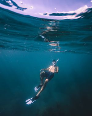 Image post by @serfermedia on Instagram