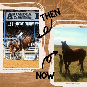 Image post by @arcadiarodeo on Instagram