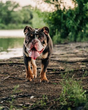 Image post by @leinbachphotography on Instagram