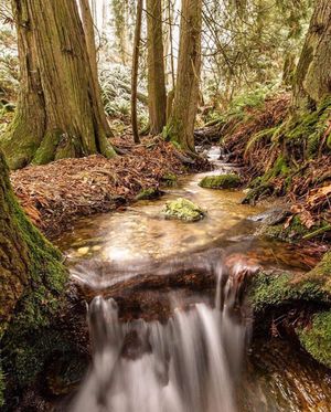 Image post by @tourismabbotsford on Instagram