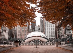 Image post by @exploreschicago on Instagram