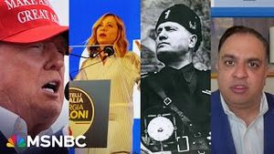 Video post by @msnbc on YouTube
