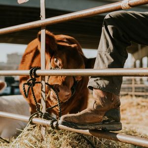 Image post by @justinboots_ on Instagram