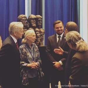 Image post by @leonardodicaprio on Instagram