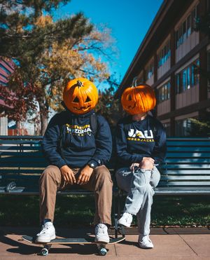 Image post by @nauflagstaff on Instagram