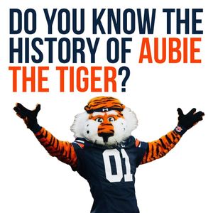 Image post by @auburnuniforms on Instagram