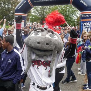 Image post by @carolinamudcats on Instagram