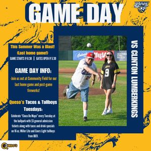 Image post by @burlington_bees on Instagram