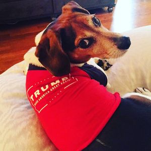 Image post by @laraleatrump on Instagram