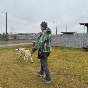 Image post by @spokhumanesoc on Instagram