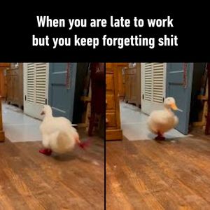 Image post by @9gag on Instagram