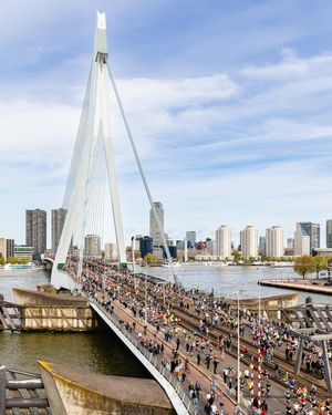 Image post by @hardloopnetwerk on Instagram