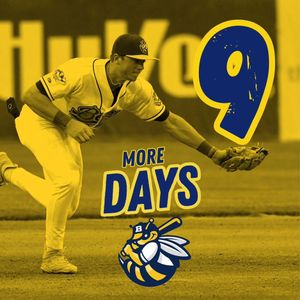 Image post by @burlington_bees on Instagram