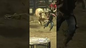 Video post by @pbr on YouTube