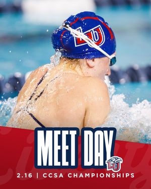 Image post by @libertydiveswim on Instagram