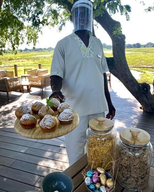 Image post by @chiawasafaris on Instagram