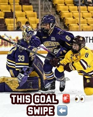 Image post by @everythingcollegehockey on Instagram