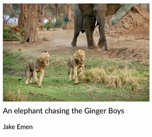 Image post by @chiawasafaris on Instagram