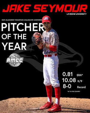 Image post by @lrubaseball on Instagram