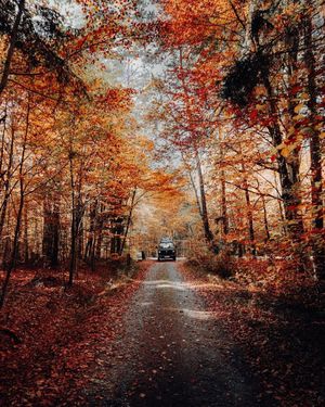 Image post by @unsplash on Instagram