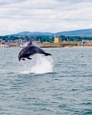 Image post by @visitscotland on Instagram