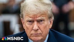 Video post by @msnbc on YouTube