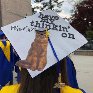 Image post by @hofstrau on Instagram