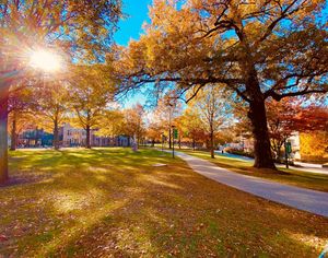 Image post by @loyolamaryland on Instagram