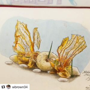 Image post by @ryanpeterspgh on Instagram