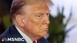 Video post by @msnbc on YouTube