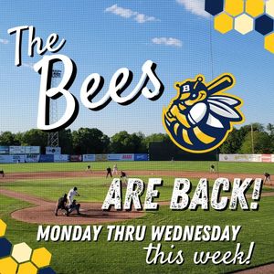 Image post by @burlington_bees on Instagram