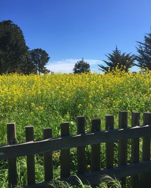 Image post by @ucsc on Instagram