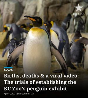 Image post by @thekansascitystar on Instagram
