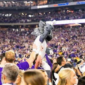 Image post by @tcu.superfrog on Instagram