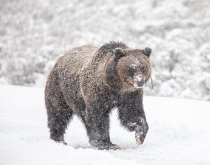 Image post by @nationalparkservice on Instagram